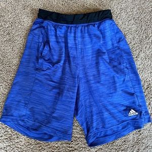 Small Blue Adidas shorts